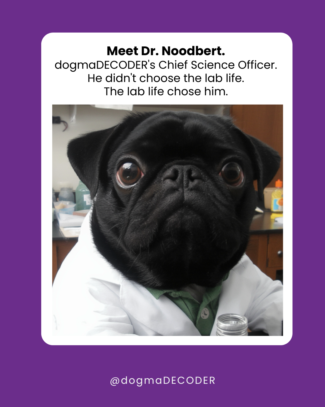 Noodle — dogmaDECODER mascot